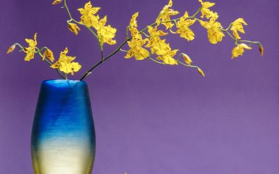 Színek a művészetben – Robert Mapplethorpe: Flowers     (1. rész – színes)